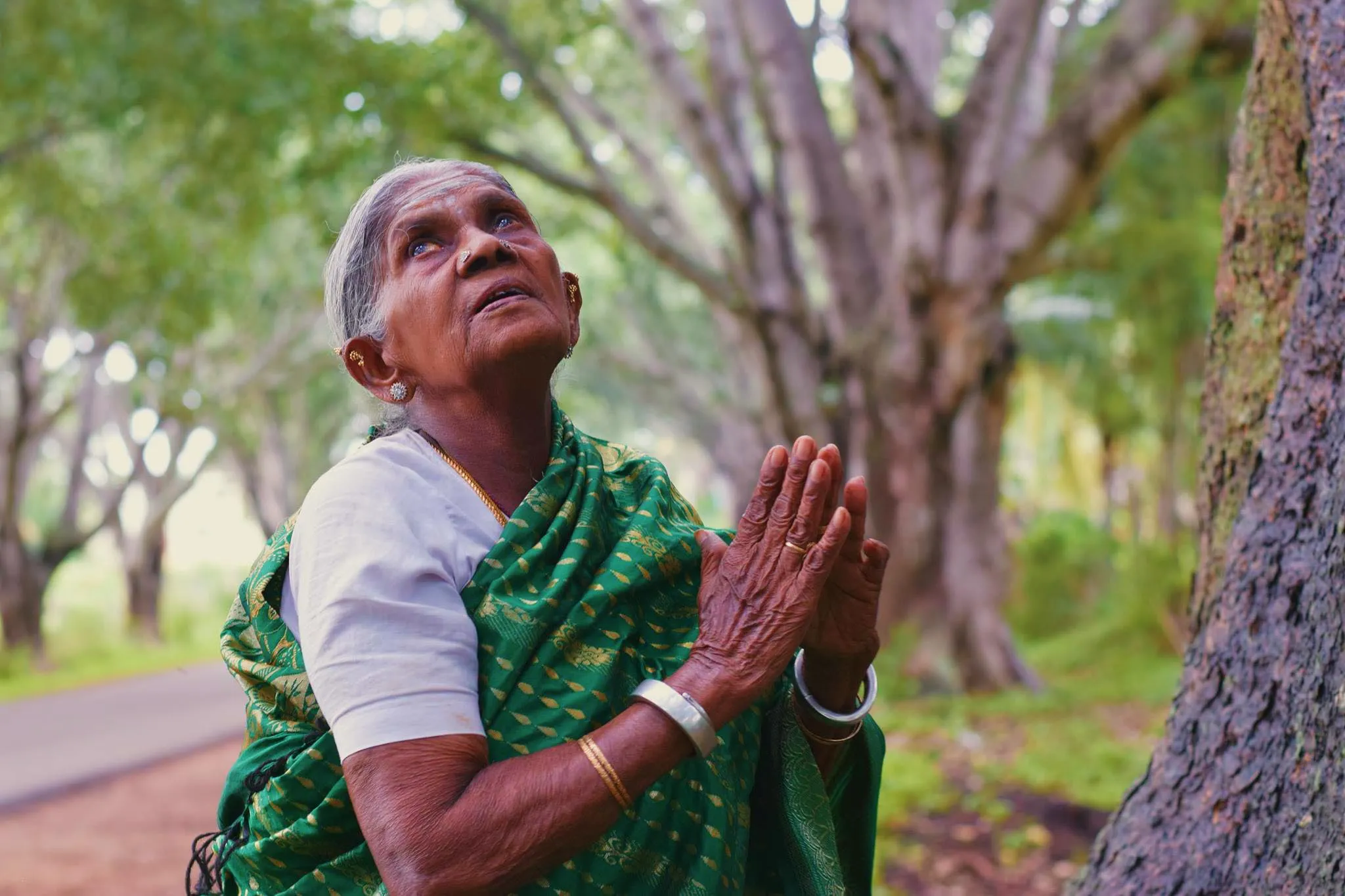 ಕಾಲು ಜಾರಿ ಬಿದ್ದ ಸಾಲುಮರದ ತಿಮ್ಮಕ್ಕ (Saalumarada Thimmakka): ಆಸ್ಪತ್ರೆಗೆ